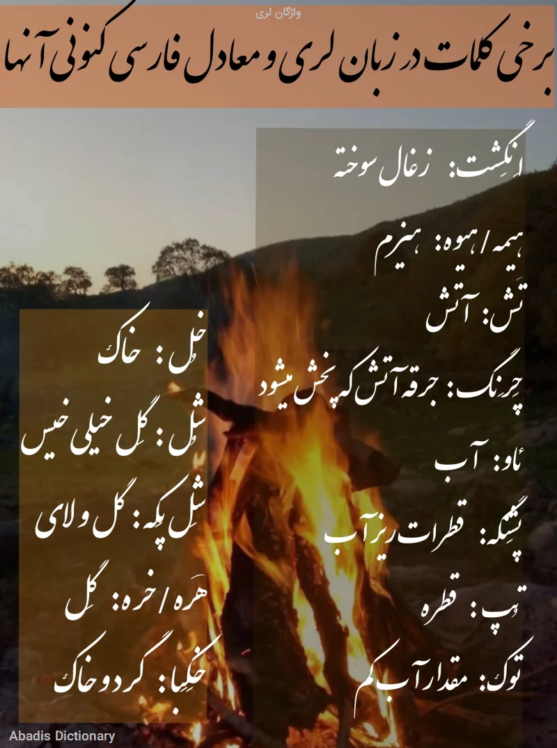 واژگان لری